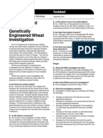 Questions and Answers: Genetically Engineered Wheat Investigation