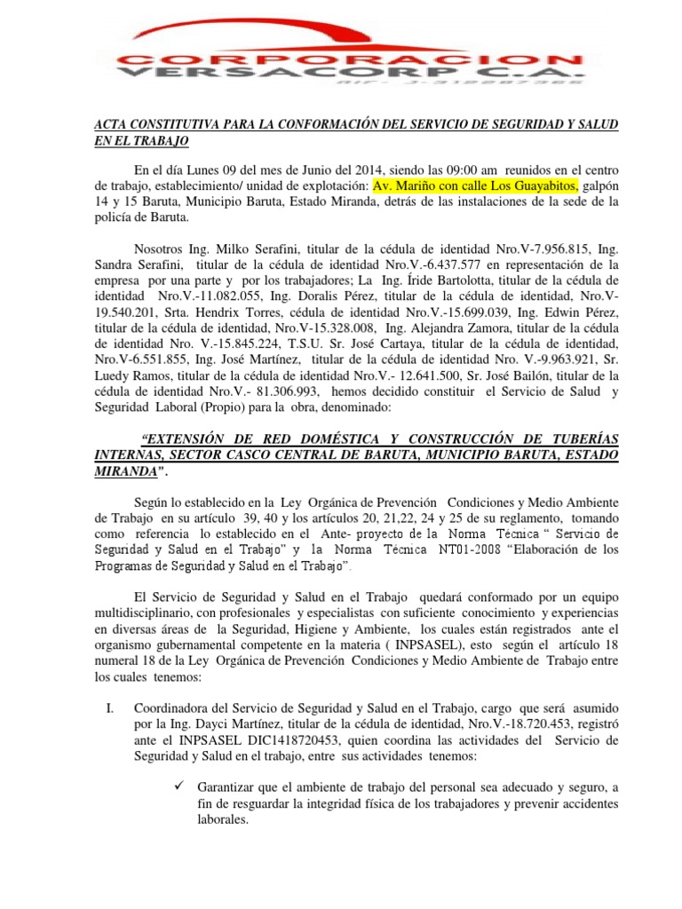 Acta Constitutiva de Seguridad Laboral | PDF | Seguridad y salud ...