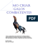 Criação de Galos Combatentes