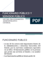 El Servidor y Funcionario Público, Concepto, Clasif