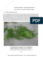 Eduart Zimer - (SDU) - Adventive Plants - Part 5 (2008)