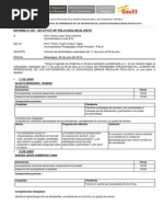 Informe Mensual Del Acompañante