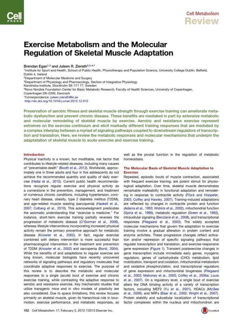 Exercise Metabolism and The Molecular Regulation of Skeletal Muscle ...