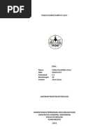 Download Pasca Panen Rumput Laut by Cikha Farahdiba Iman SN241128908 doc pdf