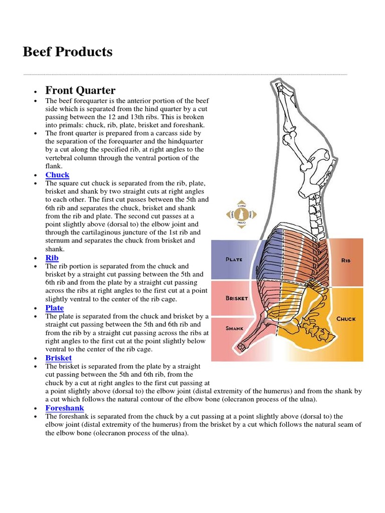 Overview of Beef Cuts and Parts | PDF | Chuck Steak | Shoulder