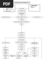 Download Pathophysiology of Diabetes Mellitus Type 2 by jnrue_aerith SN24115385 doc pdf