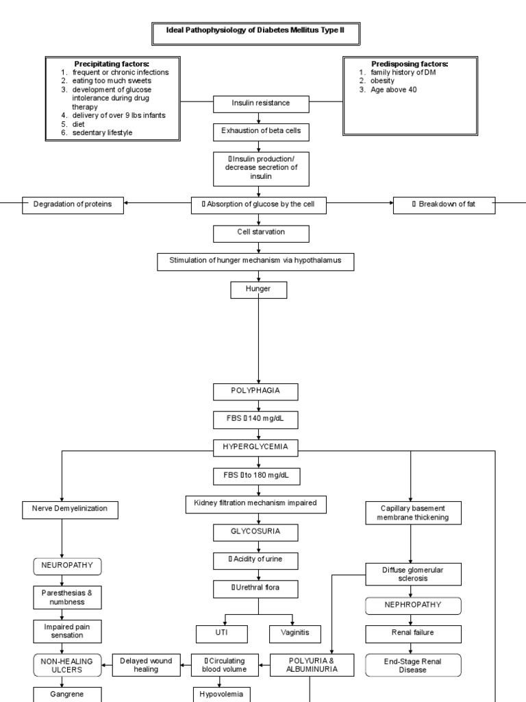 Pathophysiology of Diabetes Mellitus Type 2 | PDF | Diabetes | Heart