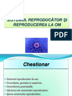 Sistemul Reproducator I Reproducerea La Om