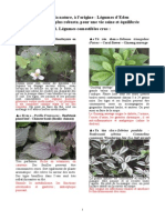 Legumes D'eden PDF