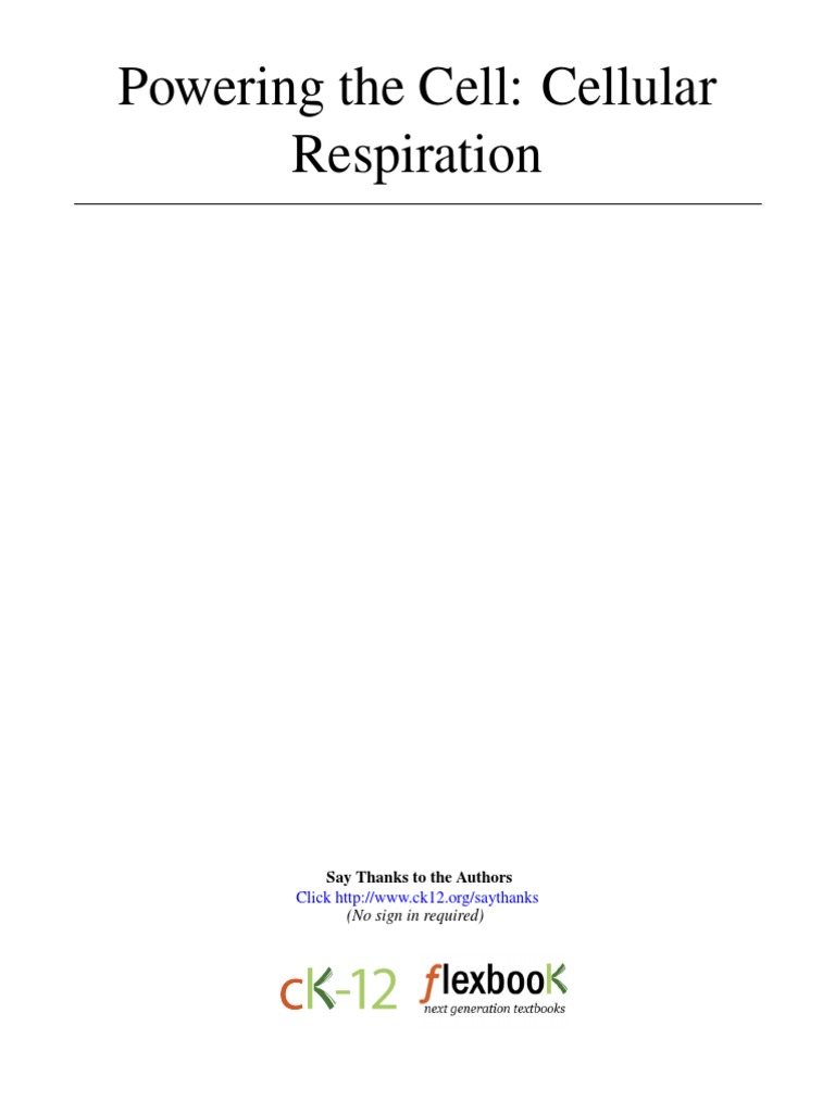4-3 Powering The Cell Cellular Respiration | PDF | Cellular Respiration ...