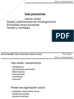 Tema 1 (La Célula Procariota) PDF