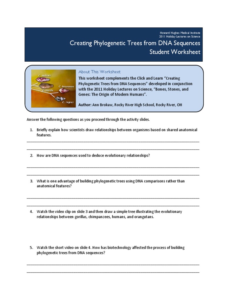 phylogenetic-trees-click-learn-worksheet-pdf-phylogenetic-tree-nucleic-acid-sequence