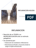 Inflamacion 2011 i