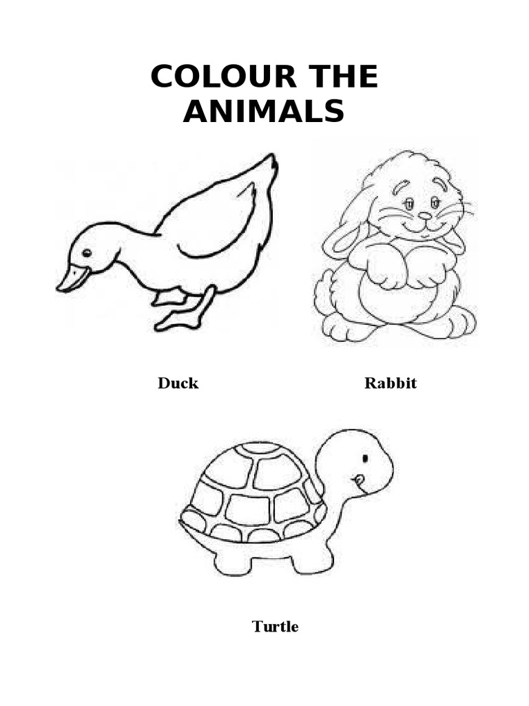 Colorful Animal Worksheets for Kids | PDF