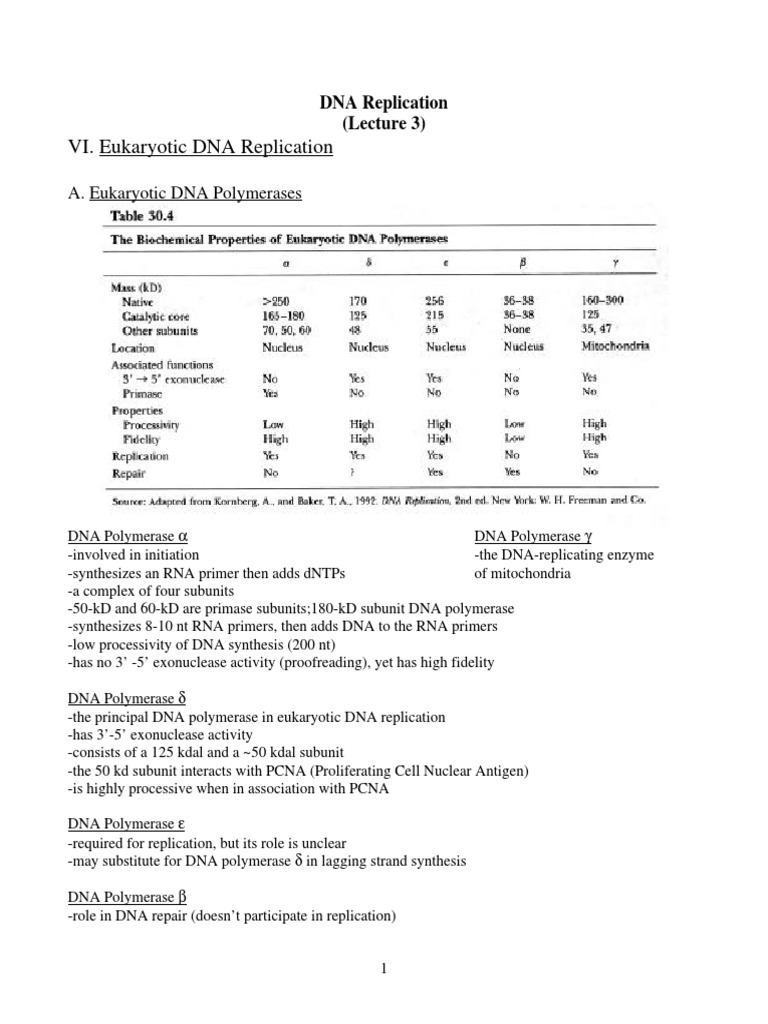 DNA Replication | PDF | Dna Replication | Telomere