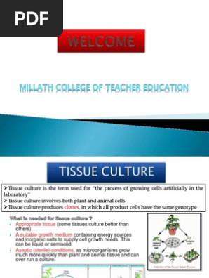 Tissue Culture Cell Culture Horticulture And Gardening