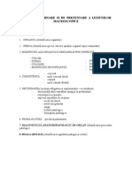 Plan de Examinare Si de Prezentare A Leziunilor Macroscopice