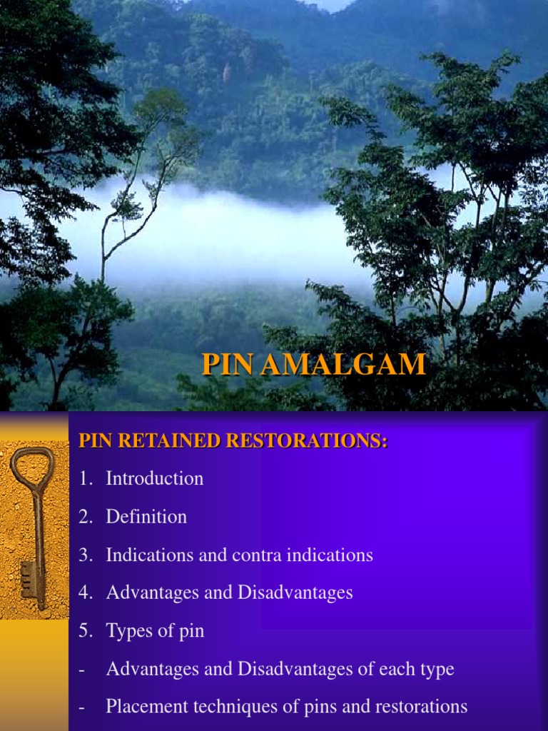 Pin Amalgam Restoration PDF Dentin Tooth
