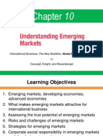 IB Chapter 10 Understanding Emerging Markets