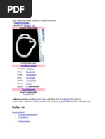 Download Askariasis by giffani SN241233259 doc pdf