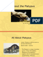 Platypus Information Report