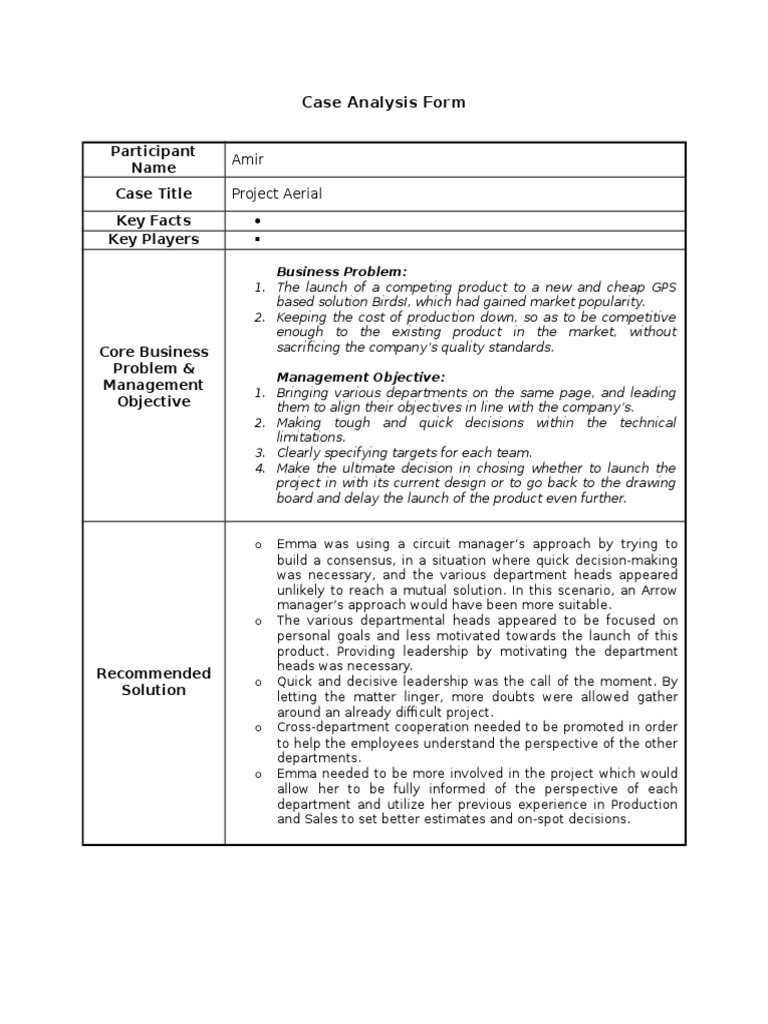 Case Analysis Form 4 - Project Aerial | PDF | Business | Art