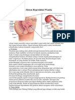 Organ Penyusun Sistem Reproduksi Wanita