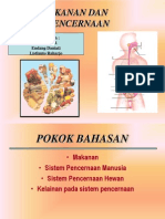 Sistem Pencernaan Kelompok 1