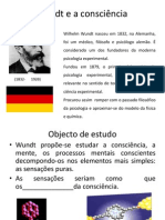 Wundt e A Consciência