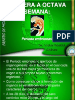 Clase V Periodo Embrionario (Tercera - Octava Semana)