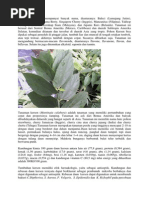 Download Kersen by Vhera Verove Febriiantii SN241280159 doc pdf