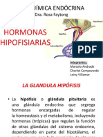 Bioquímica Endócrina - Grupo 5 Marcelo, Charlot, Leiny - Hormonas Hipofisiarias