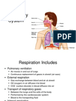 Lecture 21 - Respiratory System