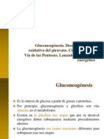 Gluconeogénesis, CK, VP, Lanzaderas (1)