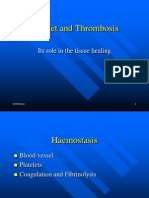 KP 11. (Tambahan) Platelet Dr. Husna