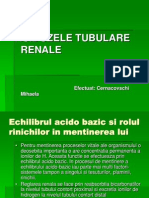 23160928 Preeclampsia Acidozele Renale Tubulare