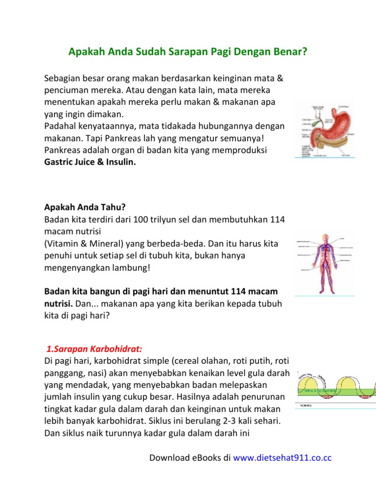 Apakah Anda Sudah Sarapan Pagi Dengan Benar