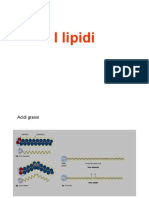 11.lipidi e Membrane