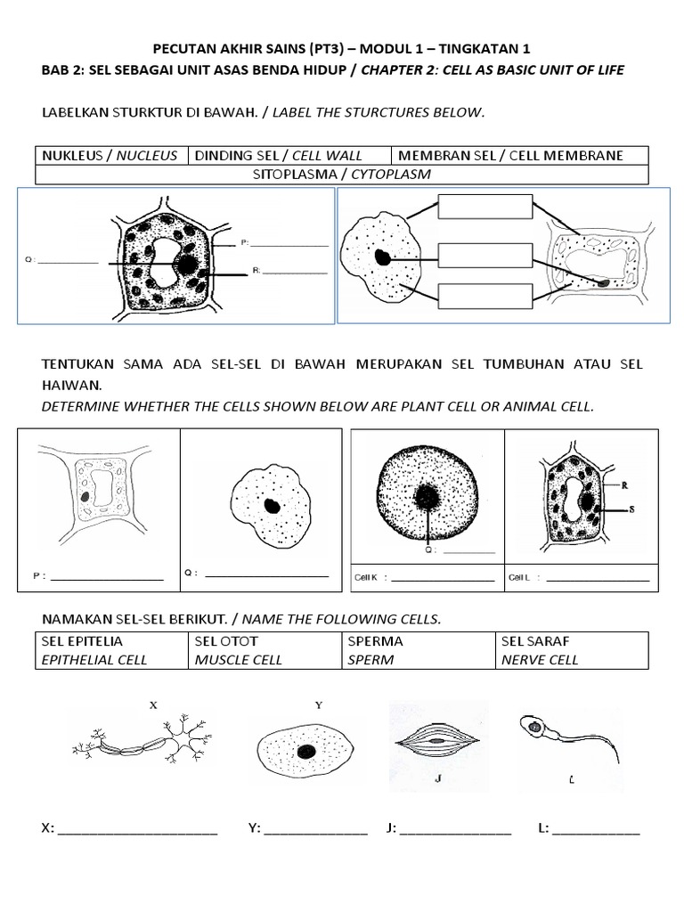 Pecutan Akhir Sains