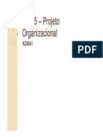 Aula 5 - Projeto Organizacional