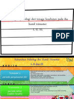 Dukungan Psikologi Dari Tenaga Kesehatan Pada Ibu Hamil