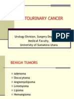 Genitourinary Cancer: Urology Division, Surgery Department Medical Faculty, University of Sumatera Utara