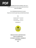 Download TUGAS TERSTRUKTUR Bawang Merah Ektandocx EDIT by Sella Wulandari SN241354953 doc pdf