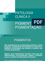 PATOLOGIA Pigmentos Oficial (2)