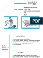 mecanorreceptores