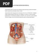 Download 76789506 Anatomi Sistem Urogenital by Alvionita Patandean SN241389754 doc pdf