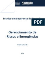 Caderno de Segurança Do Trabalho (Gerenciamneto de Riscos e Emergências)