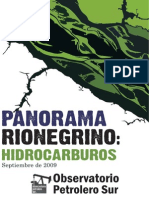Panorama Rionegrino Pdf1