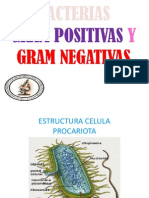 Bacterias Gram Pos y Gram Neg MED I 2012