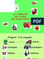 La Formació Del Plural